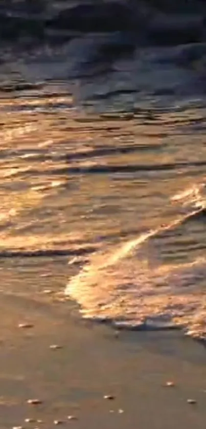 Golden sunset reflecting on ocean waves at the beach.