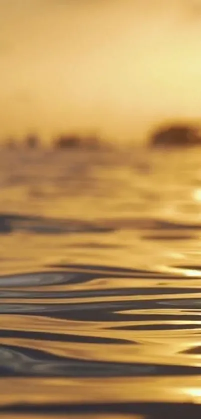 Golden sunset reflecting on ocean waves wallpaper.