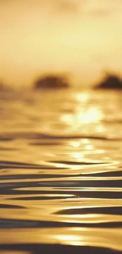 Golden sunset reflecting on water ripples creating a serene scene.