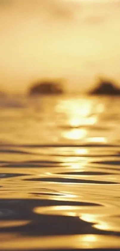 Golden sunset over the ocean with tranquil reflections.