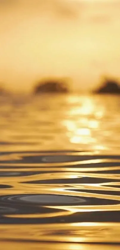 Golden sunset reflection on calm water surface with warm hues.