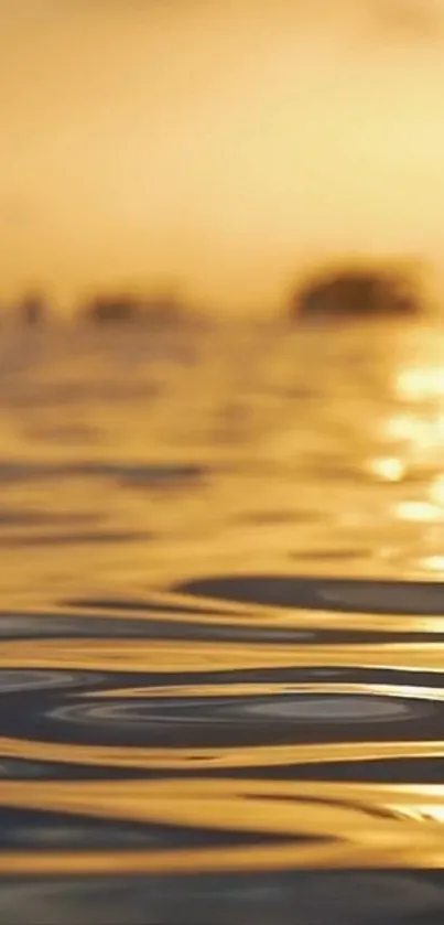 Golden sunset reflecting on tranquil water surface.