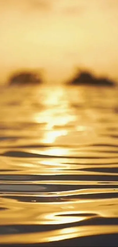 Golden sunset reflecting on rippling water with serene ambiance.