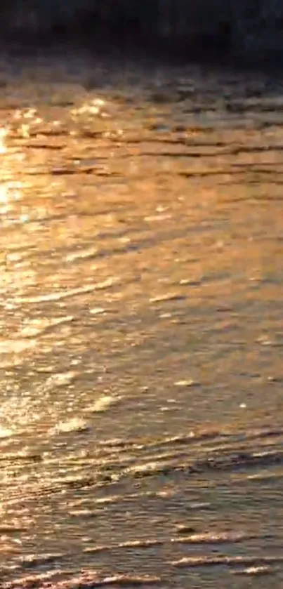 Golden sunset reflecting on calming water, perfect for mobile background.