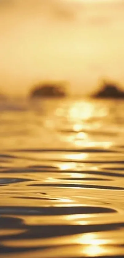 Golden sunset over calm ocean waters, creating a serene and peaceful atmosphere.