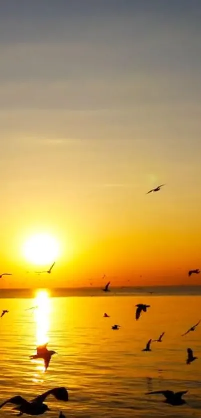 Golden orange sunset with birds over water.