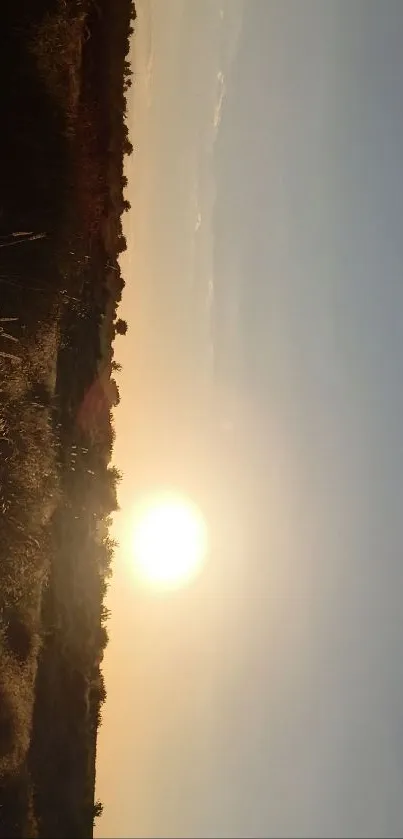 Golden sunset illuminating a desert landscape with tranquil beauty.