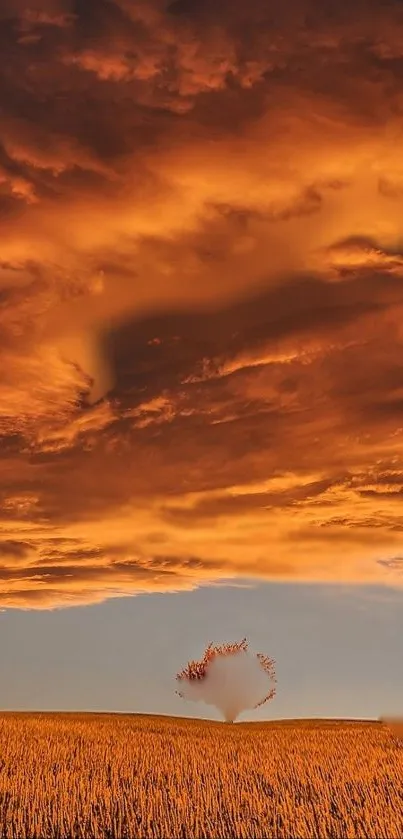 Golden sunset over a tranquil field with dramatic clouds.