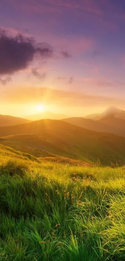 Golden sunset over rolling green hills with a serene natural view.