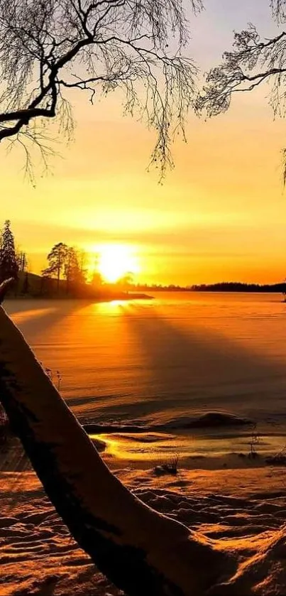 Golden sunset view over icy lake with trees in foreground.