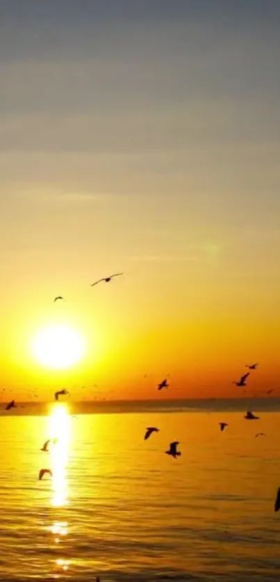 Golden sunset over the ocean with birds flying in the sky.