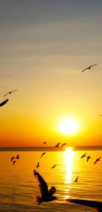 Golden sunset over calm ocean with flying seagulls silhouette.