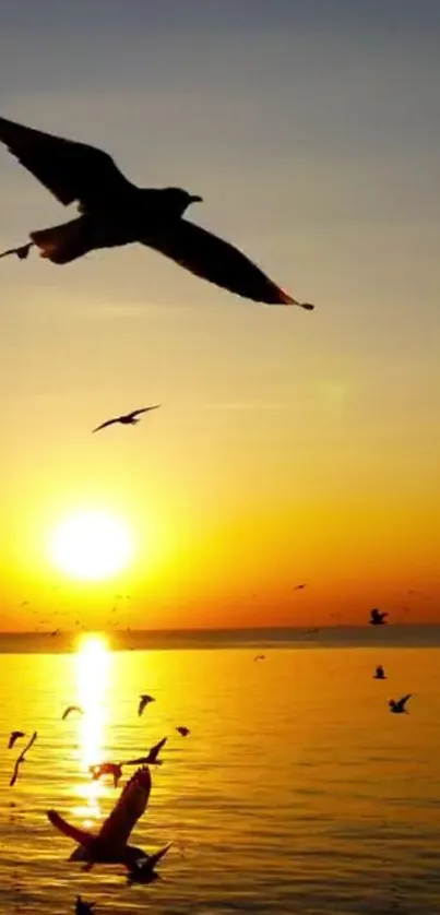 Golden sunset over ocean with silhouetted birds in flight.