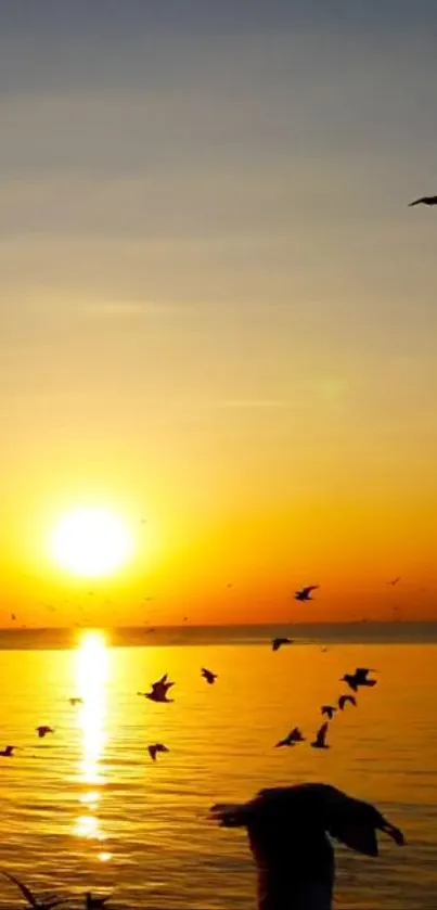 Golden sunset with birds over a serene ocean, creating a tranquil scene.