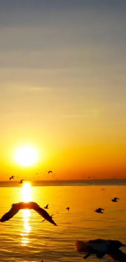 Golden sunset over ocean with flying birds.