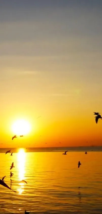 Golden sunset over ocean with birds flying gracefully.