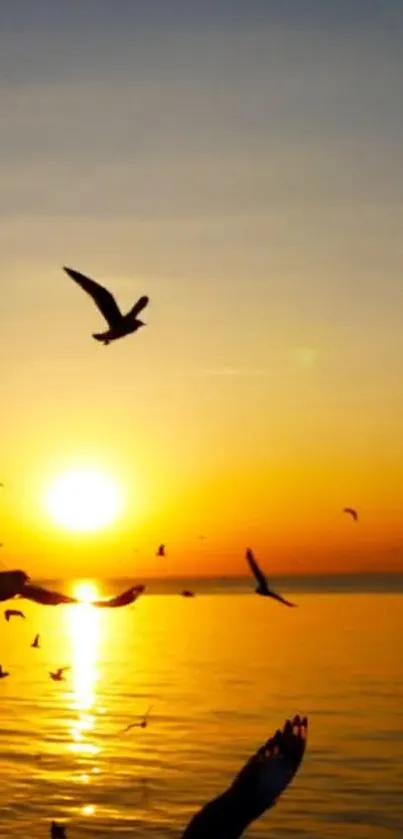 Golden sunset over ocean with birds in flight.