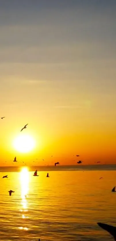 Golden sunset over ocean with birds silhouetted against the vibrant sky.