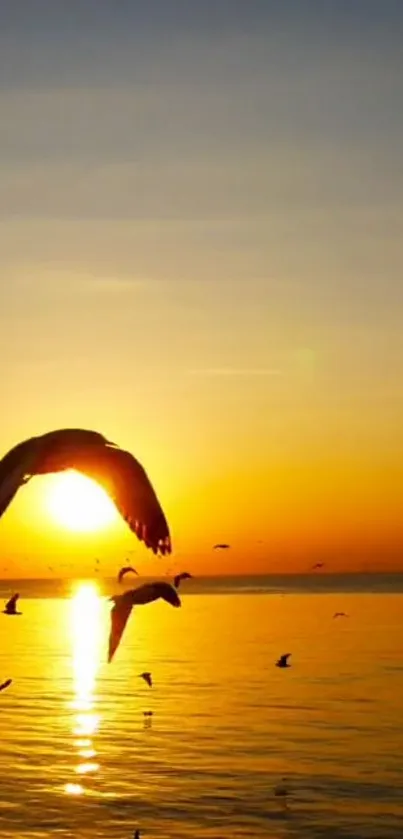 Birds flying over ocean at golden sunset.