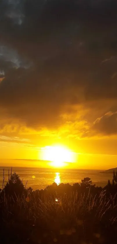 Golden sunset over the ocean with vivid colors.