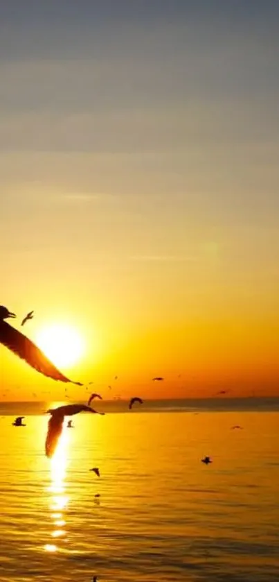 Golden sunset with seagulls over a calm ocean, perfect for mobile wallpaper.