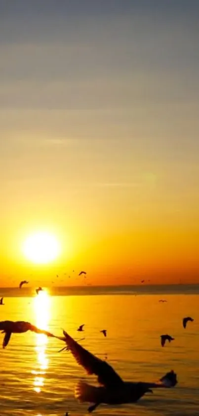 Golden sunset with birds over the ocean