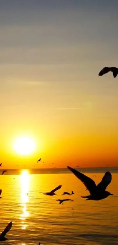 Sunset over ocean with birds flying, golden sky reflecting on water.