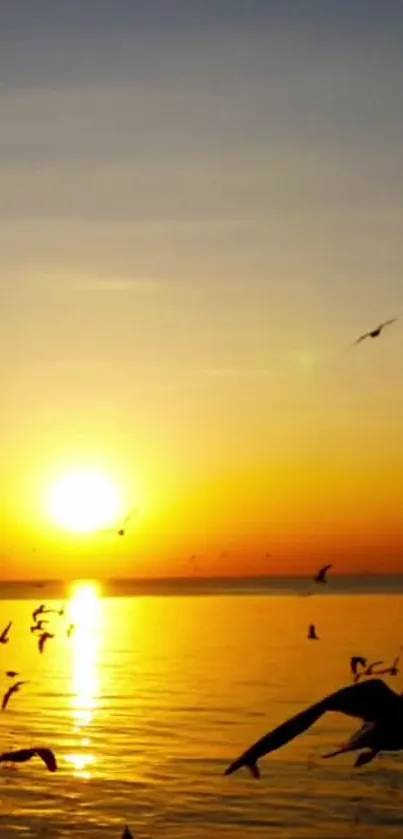 Golden sunset over ocean with flying birds.