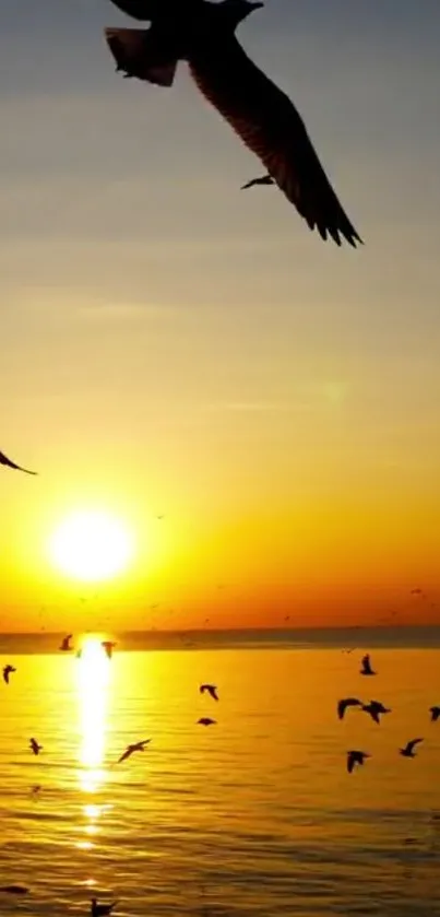 Golden sunset over ocean with flying birds.