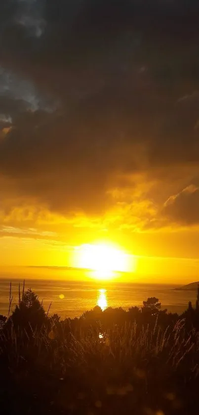 Vibrant golden sunset over tranquil ocean waters.