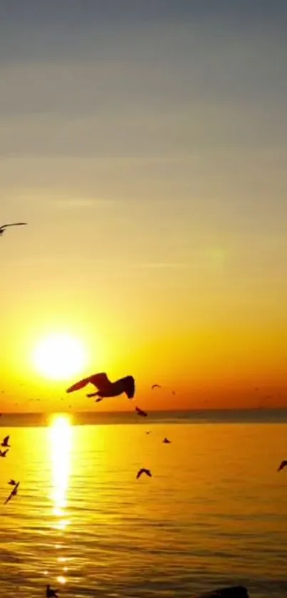 Golden sunset over the ocean with birds flying.