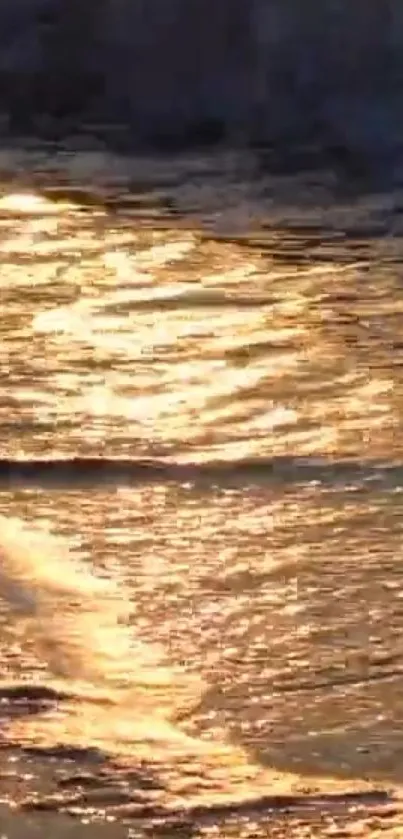 Golden sunset reflecting on ocean waves, creating a serene, warm scene.