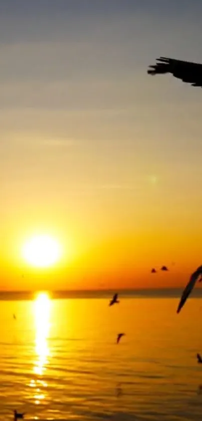 Golden sunset with birds over an ocean horizon.