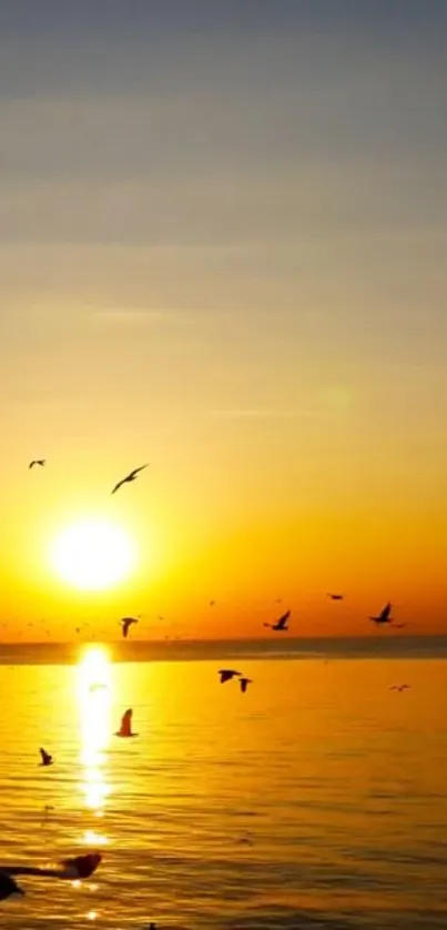 Golden sunset over ocean with flying birds.