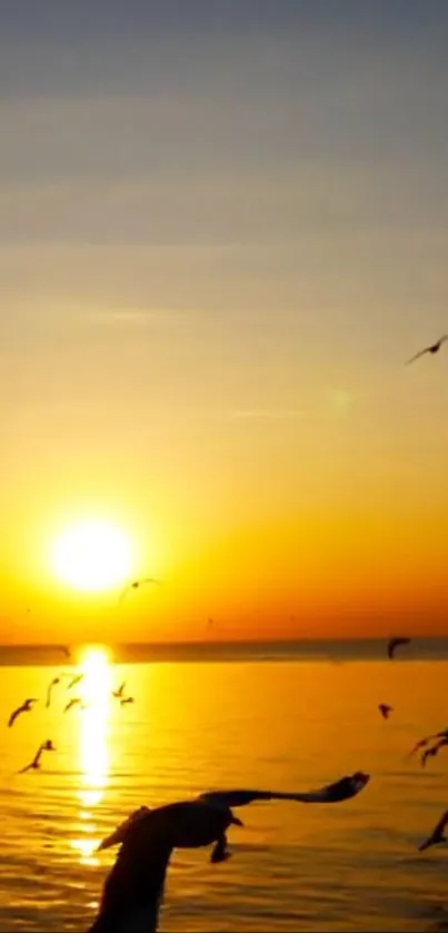 Golden sunset over ocean with birds flying in the sky.