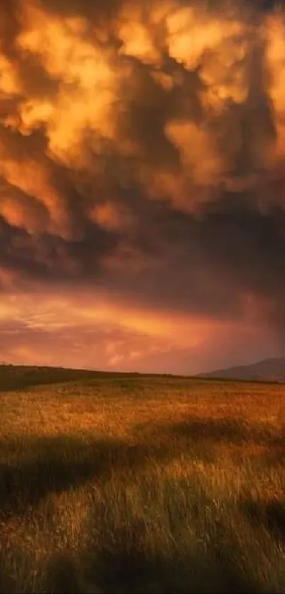 Golden sunset sky over a rural field with dramatic clouds.