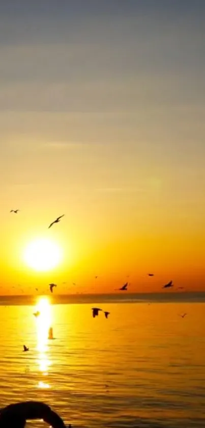 Golden sunset over ocean with flying birds in tranquil setting.