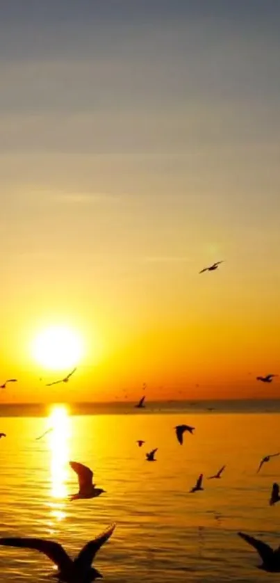 Golden sunset over ocean with flying birds.