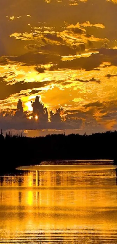 Golden sunset reflecting over a tranquil lake and forest silhouette.