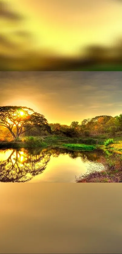 Golden sunset over tranquil lake with tree reflection on water.