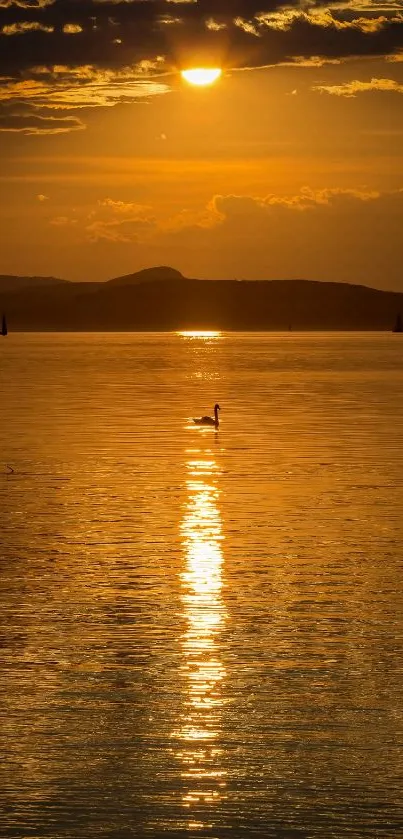 Golden sunset over lake with swan silhouette.