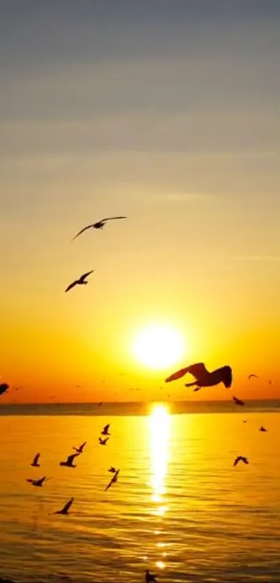 Golden sunset with birds flying over a calm ocean.