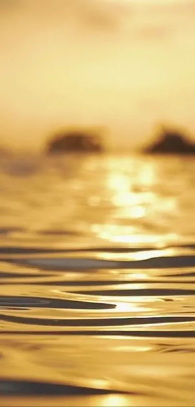 Golden sunset reflecting on water with ripples.