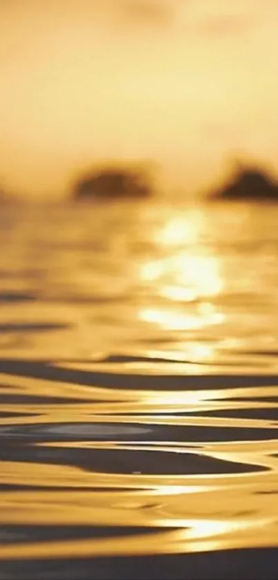 Golden sunset reflecting over calm shimmering water surface.