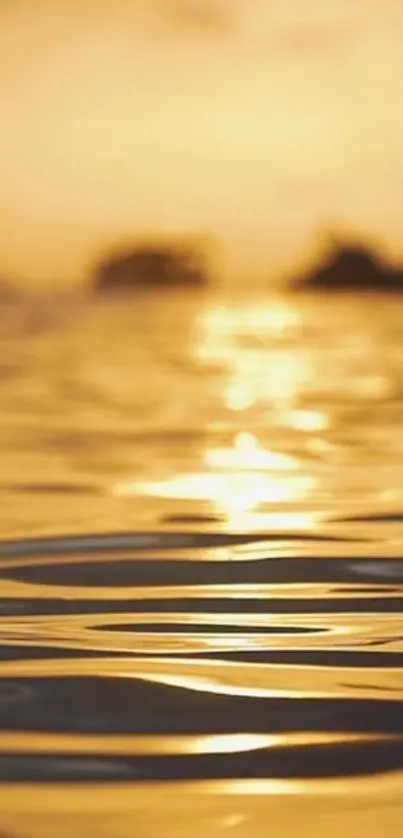 Golden sunset reflecting over calm water creating a serene and peaceful scene.