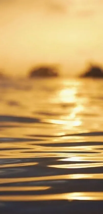 Golden sunset reflecting on tranquil ocean waves.