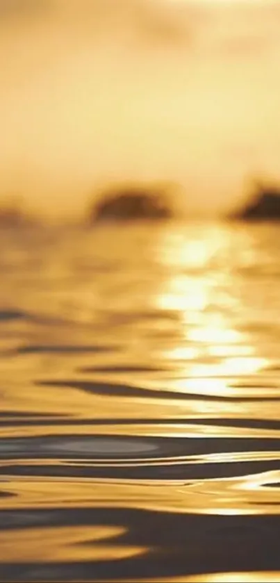 Golden sunset reflecting beautifully on tranquil ocean waves.