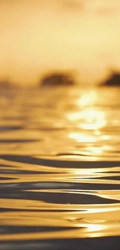 Golden sunset reflecting on rippling water surface, creating a serene ambiance.