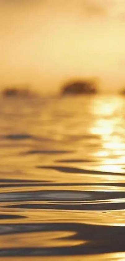 Golden sunset reflecting on tranquil water.