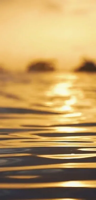 Golden sunset over calm water with ripples and silhouettes on the horizon.